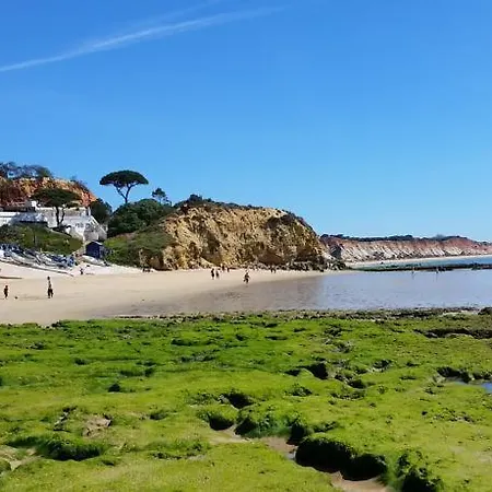 Appartamento Vista Ondas 104